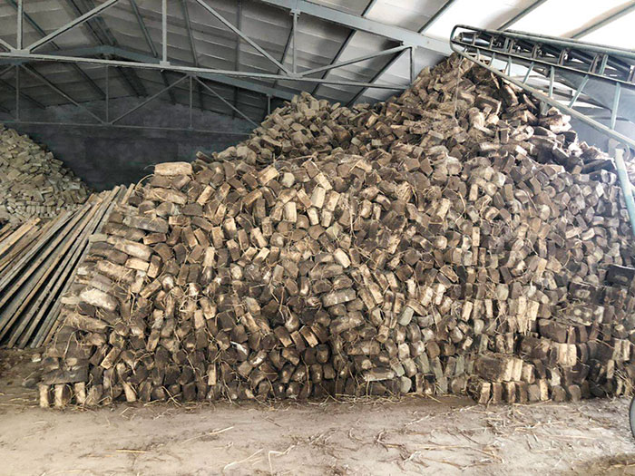 香蕉视频在线观看黄色