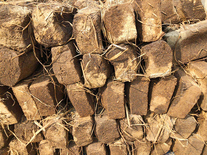 香蕉视频在线观看黄色